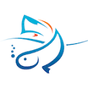 Saltwater&nbsp;Fish