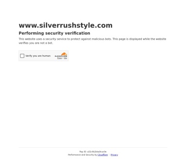 SilverRushStyle